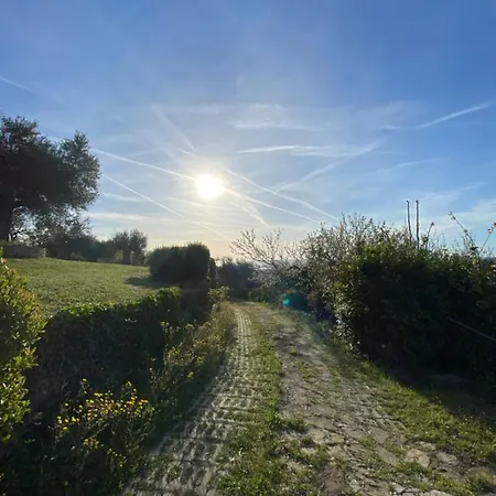 Appartamento Rustico Althea - Immerso Nel *